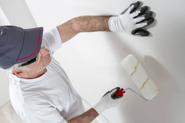 Trusted Plains, TX Mold Removal Experts